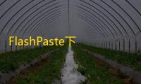 FlashPaste下载(快捷地粘贴文本工具) 6.4 绿色版